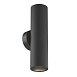 Настенный светильник (бра) Technical Artisan C080WL-02-GU10-B - фото
