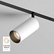 Светильник на шине Denkirs SMART SPOT DK8041-BW+BK - фото