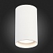 Светильник потолочный Белый LED 1*20W 4000K 1 600Lm Ra>90 60° IP44 D95xH150 220-265V ST157.542.20 - фото