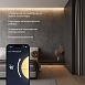 Умный контроллер для светодиодных лент RGBW 12-24 В 95001/00 Elektrostandard - фото