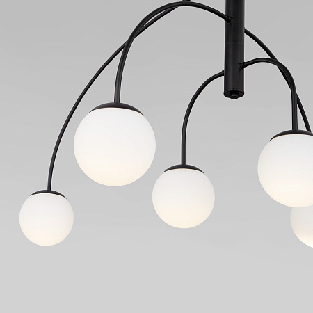 Потолочный светильник Eurosvet 30179/6 черный - фото