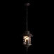 100021P Уличный подвесной светильник LOFT IT Prato - фото