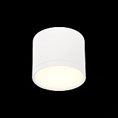 Светильник потолочный Белый LED 1*9W 3000K 702Lm Ra&gt;90 120° IP20 D88xH75 170-240V ST113.532.09
