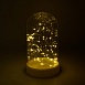 Световая фигура "Колба с Нитью Роса" 50LED 2700K, батарейки 3*АА, 23см, LT135 - фото