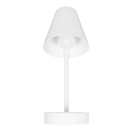 10216/1W White Настенный светильник LOFT IT Shelf - фото