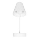 10216/1W White Настенный светильник LOFT IT Shelf - фото
