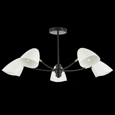 Светильник потолочный Черный, Золотой/Белый E14 5*40W SLE103602-05 - фото