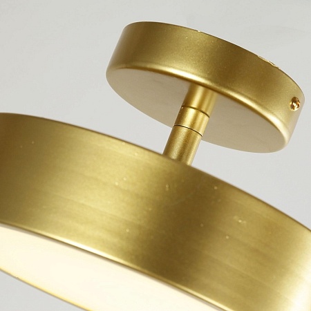 Потолочный светильник F-Promo 3059-2P - фото