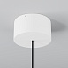 Подвесной светильник Outdoor O491PL-L8W3K - фото