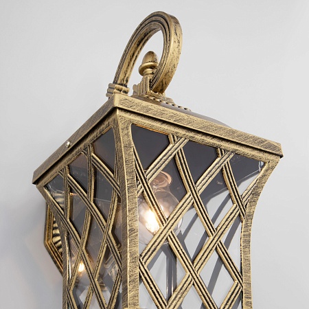 Уличный настенный светильник Cassiopeya D черное золото IP44 Cassiopeya D черное золото Elektrostandard - фото