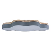 10005/36 Grey Потолочный светильник LOFT IT Axel