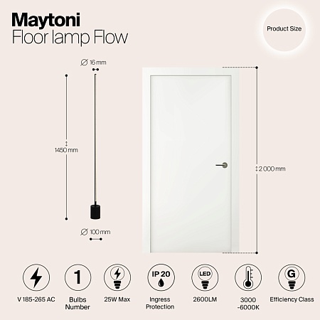 Напольный светильник (торшер) Maytoni Flow MOD147FL-L20BK1 - фото