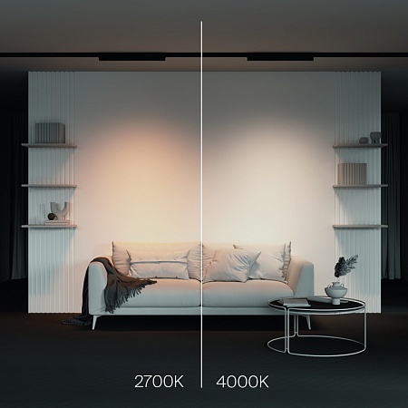Трековый светильник Technical BASIS TR196-3-20W2.7K-B - фото