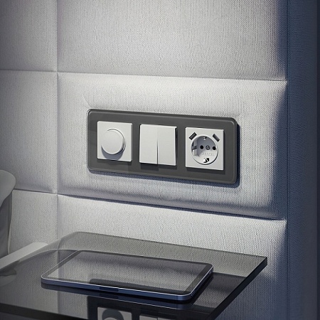 Диммер (белый матовый) W1142061 - фото