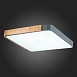 Светильник потолочный Серый, Светлое дерево/Белый LED 1*42W 3000K/4000K/6000K SLE201272-01 - фото
