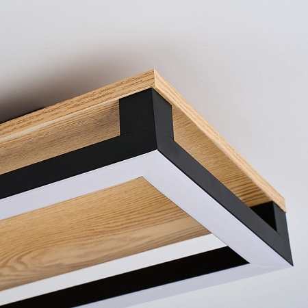 Потолочный светильник F-Promo 4434-2C - фото