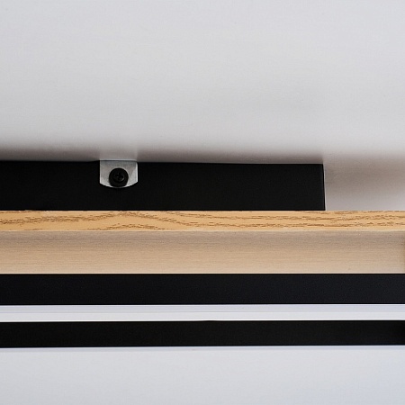 Потолочный светильник F-Promo 4434-2C - фото