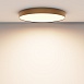 Потолочный светильник Technical Zon C032CL-90W3K-RD-MG - фото