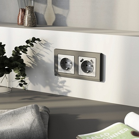 Розетка с заземлением и шторками (серебряный матовый) W1171165 - фото