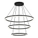 Светильник подвесной ST-Luce черный/прозрачный LED 1*130W 4000K SL1018.403.03 - фото