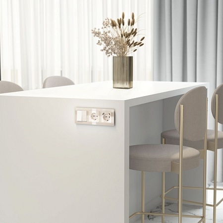 W1171143/ Розетка с заземлением и шторками (айвори акрил) W1171143 - фото