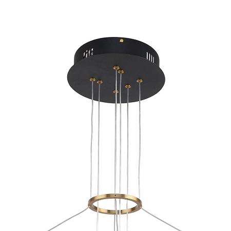 Подвесная люстра F-Promo 3097-8P - фото