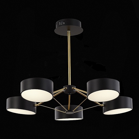 Светильник потолочный Черный, Золотистый/Черный LED 5*10W SLE6005-402-05 - фото