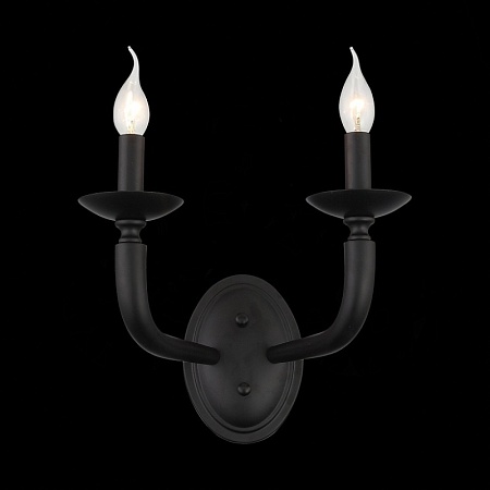 Бра ST-Luce Черный E14 2*40W SL1114.401.02 - фото