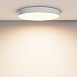 Потолочный светильник Technical Zon C032CL-90W3K-RD-W - фото
