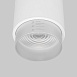 Потолочный светодиодный светильник Cors 25032/LED 10W 4200K белый/серебро Elektrostandard - фото