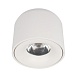 10219 White 3000K Потолочный светильник LOFT IT Tictac - фото