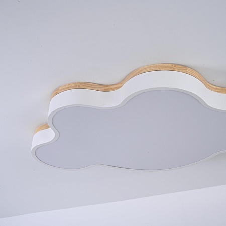 Потолочный Светильник Cloud Eco D83 White Imperiumloft 189502-26 - фото