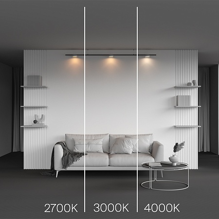 Трековый светильник Technical Zon TR189-1-12W4K-BW - фото