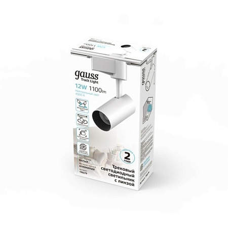 Трековый светильник GAUSS TR079_GAUSS - фото