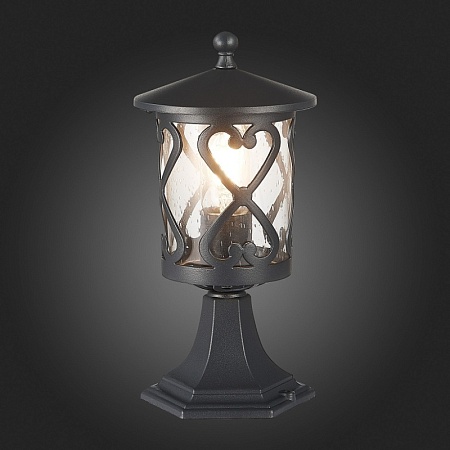 Светильник уличный наземный ST-Luce Черный/Черный, Прозрачный E27 1*60W SL085.405.01 - фото