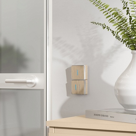 Выключатель двухклавишный с подсветкой Gallant (шампань рифленый) W5020110 - фото