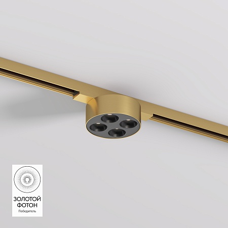 Светильник на шине Denkirs SHINE GRILL DK5772-SB - фото