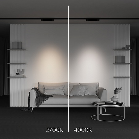 Трековый светильник Technical Points  TR195-3-10W4K-M-B - фото