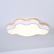 Потолочный Светильник Cloud Eco D50 White Imperiumloft 189500-26 - фото