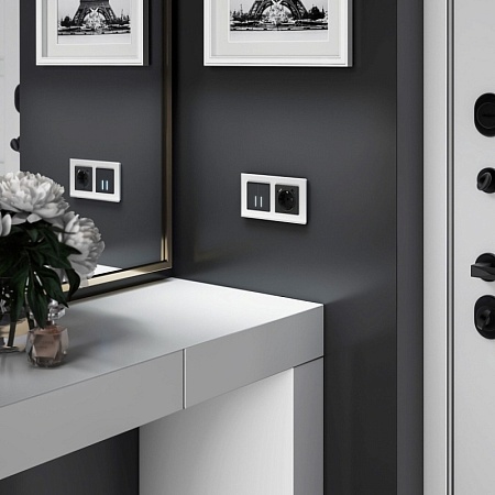 Розетка с заземлением, шторками и USBх2 (черный матовый) W1171508 - фото