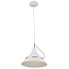 Подвесной светильник Freya Amis FR5025PL-01W - фото