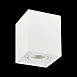 Светильник потолочный Белый GU10 1*50W L100xW100xH123 220V Без ламп ST109.507.01 - фото