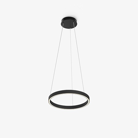 Подвесной светильник Maytoni Rim MOD058PL-L22BK - фото