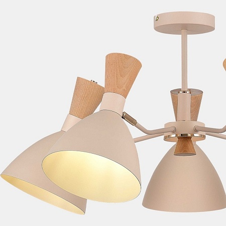 Светильник потолочный Бежевый/Бежевый, Светлое дерево, Золотистый E14 5*40W SLE1256-502-05 - фото