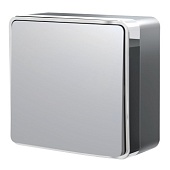 Выключатель одноклавишный проходной Gallant серебряный W5012006