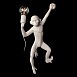 10314W/A Настенный светильник LOFT IT Monkey - фото