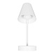 10216/1W White Настенный светильник LOFT IT Shelf - фото