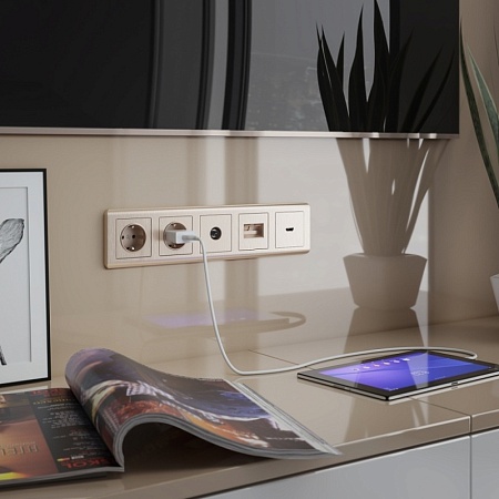 Розетка с заземлением и шторками шампань рифленый WL10-SKGS-01-IP44 - фото