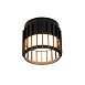 Потолочный светильник Arte Lamp ATRIA A8031PL-1BK - фото