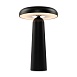 Аккумуляторный светильник Freya FR6109TL-L4B - фото